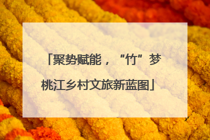 聚势赋能，“竹”梦桃江乡村文旅新蓝图