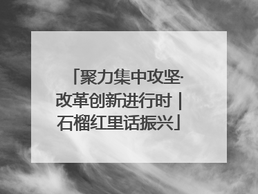 聚力集中攻坚·改革创新进行时｜石榴红里话振兴