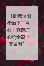 肥城仪阳街道下三合村：党群连心绘幸福“实景图”
