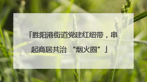 胜阳港街道党建红纽带，串起商居共治 “烟火圈”