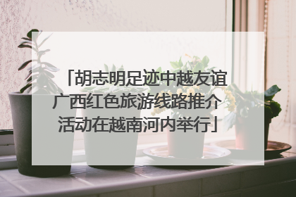 胡志明足迹中越友谊广西红色旅游线路推介活动在越南河内举行