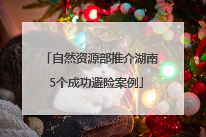 自然资源部推介湖南5个成功避险案例