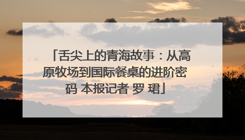 舌尖上的青海故事：从高原牧场到国际餐桌的进阶密码 本报记者 罗 珺