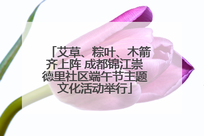 艾草、粽叶、木箭齐上阵 成都锦江崇德里社区端午节主题文化活动举行