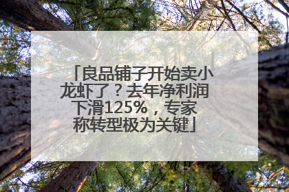 良品铺子开始卖小龙虾了？去年净利润下滑125%，专家称转型极为关键