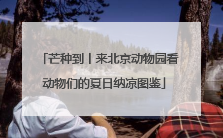 芒种到丨来北京动物园看动物们的夏日纳凉图鉴