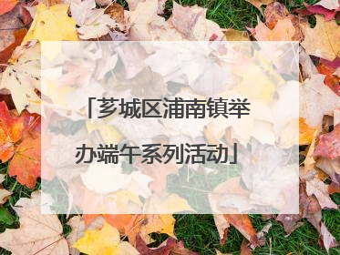 芗城区浦南镇举办端午系列活动
