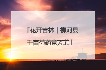 花开吉林｜柳河县千亩芍药竞芳菲