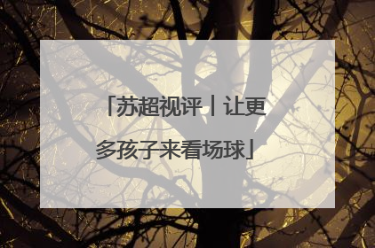 苏超视评︱让更多孩子来看场球