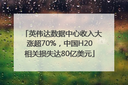英伟达数据中心收入大涨超70%，中国H20相关损失达80亿美元