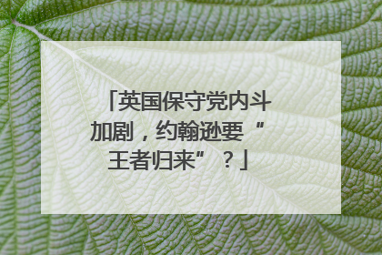 英国保守党内斗加剧，约翰逊要“王者归来”？