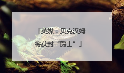 英媒：贝克汉姆将获封“爵士”