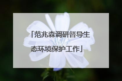 范兆森调研督导生态环境保护工作