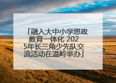 融入大中小学思政教育一体化 2025年长三角少先队交流活动在温岭举办