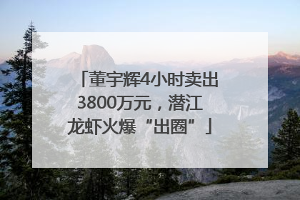 董宇辉4小时卖出3800万元，潜江龙虾火爆“出圈”