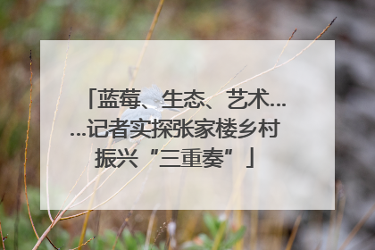 蓝莓、生态、艺术……记者实探张家楼乡村振兴“三重奏”