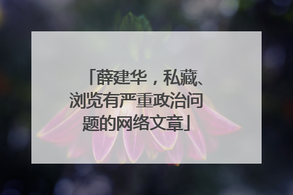 薛建华，私藏、浏览有严重政治问题的网络文章