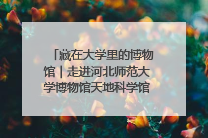 藏在大学里的博物馆｜走进河北师范大学博物馆天地科学馆：在校园里赴一场“宇宙之约”