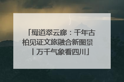 蜀道翠云廊：千年古柏见证文旅融合新图景丨万千气象看四川