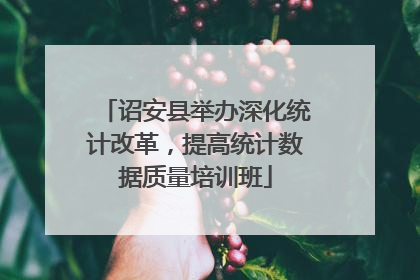 诏安县举办深化统计改革,提高统计数据质量培训班