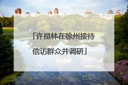 许昆林在徐州接待信访群众并调研