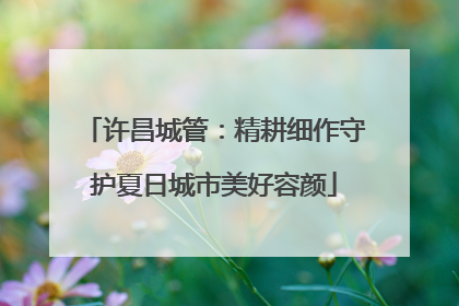 许昌城管：精耕细作守护夏日城市美好容颜