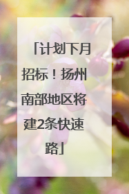 计划下月招标！扬州南部地区将建2条快速路