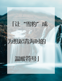 让“雪豹”成为想起青海时的温暖符号