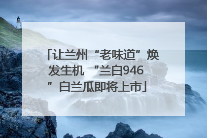 让兰州“老味道”焕发生机 “兰白946”白兰瓜即将上市