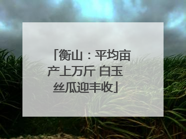 衡山：平均亩产上万斤 白玉丝瓜迎丰收