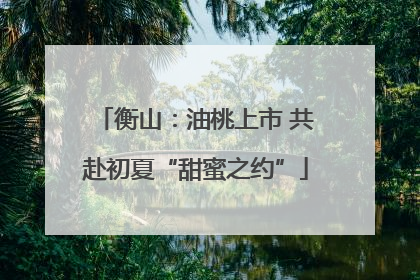 衡山：油桃上市 共赴初夏“甜蜜之约”