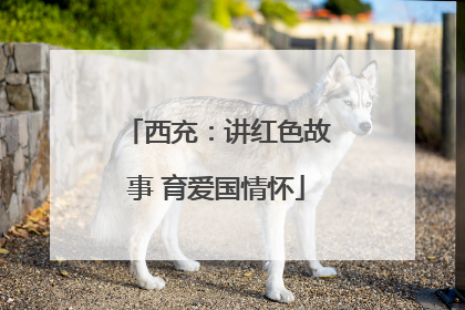西充：讲红色故事 育爱国情怀