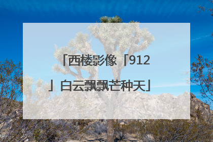 西楼影像「912」白云飘飘芒种天