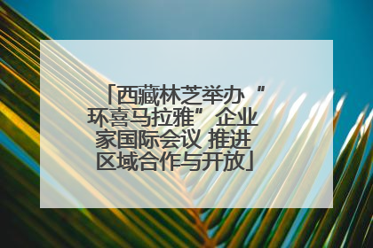 西藏林芝举办“环喜马拉雅”企业家国际会议 推进区域合作与开放