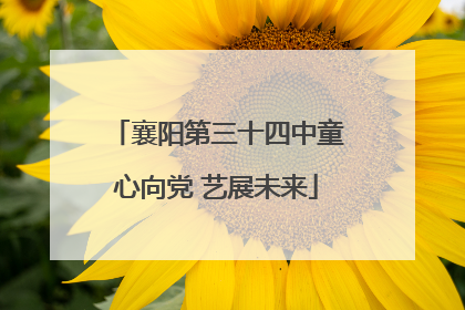 襄阳第三十四中童心向党 艺展未来