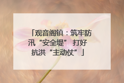 观音阁镇：筑牢防汛“安全堤” 打好抗洪“主动仗”