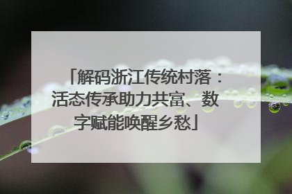 解码浙江传统村落：活态传承助力共富、数字赋能唤醒乡愁