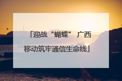 迎战“蝴蝶” 广西移动筑牢通信生命线