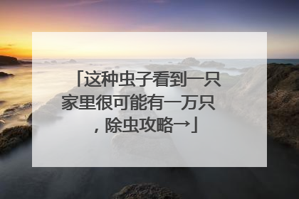 这种虫子看到一只家里很可能有一万只，除虫攻略→
