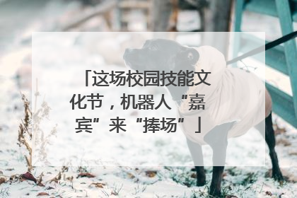 这场校园技能文化节，机器人“嘉宾”来“捧场”