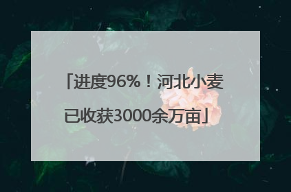 进度96%！河北小麦已收获3000余万亩