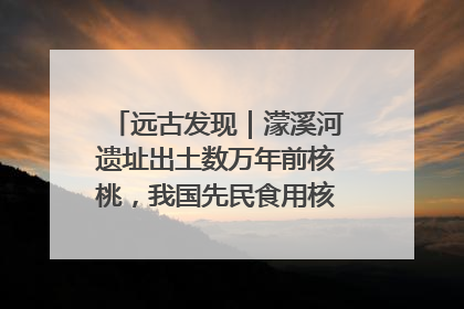 远古发现｜濛溪河遗址出土数万年前核桃，我国先民食用核桃历史大幅提前