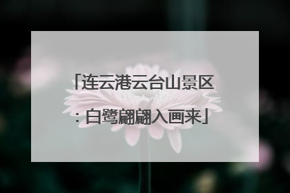 连云港云台山景区：白鹭翩翩入画来