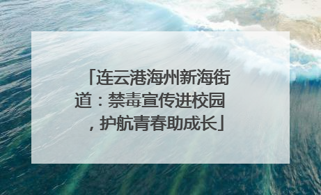 连云港海州新海街道：禁毒宣传进校园，护航青春助成长