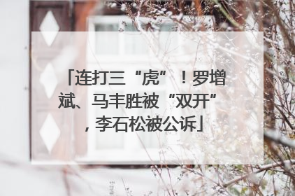 连打三“虎”！罗增斌、马丰胜被“双开”，李石松被公诉