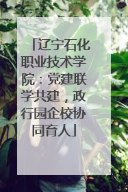 辽宁石化职业技术学院：党建联学共建，政行园企校协同育人