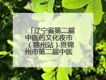 辽宁省第二届中医药文化夜市（锦州站）暨锦州市第二届中医康养夜市启幕
