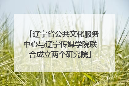 辽宁省公共文化服务中心与辽宁传媒学院联合成立两个研究院