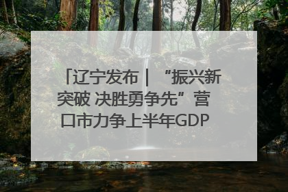 辽宁发布｜“振兴新突破 决胜勇争先”营口市力争上半年GDP增长6%左右