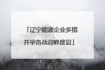 辽宁能源企业多措并举备战迎峰度夏